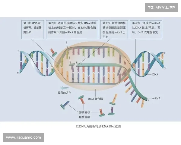 基于DK宏技术的应用研究与实施步骤全面解析 基于DK宏技术的应用研究与实施步骤全面解析