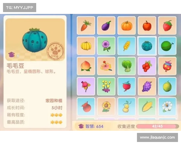 摩尔庄园毛毛豆收集全面攻略与高效技巧分享